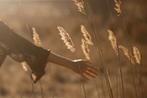 Qual é a diferença entre plano funeral e seguro funeral?